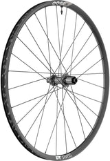 Dt swiss x 1900 spline® 29 25mm cl rear wheel | 25mm - 12 142mm - shimano