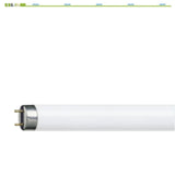 Philips TL-D Tube G13 58W 150 cm | 10 pieces