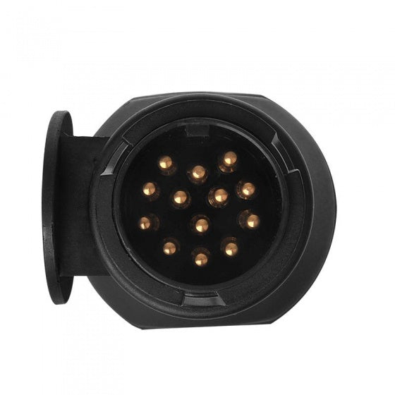 Proplus LED lighting adapter 12 Volt 13-13-pin 16 cm black