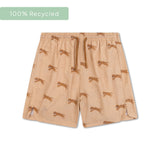 Roamer | Brown uv Swimming Trunks Boys
