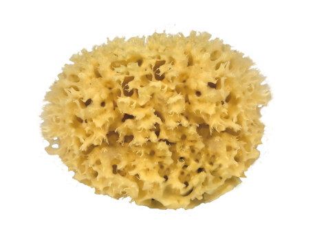 Rockshox Nature Sponge For The Body
