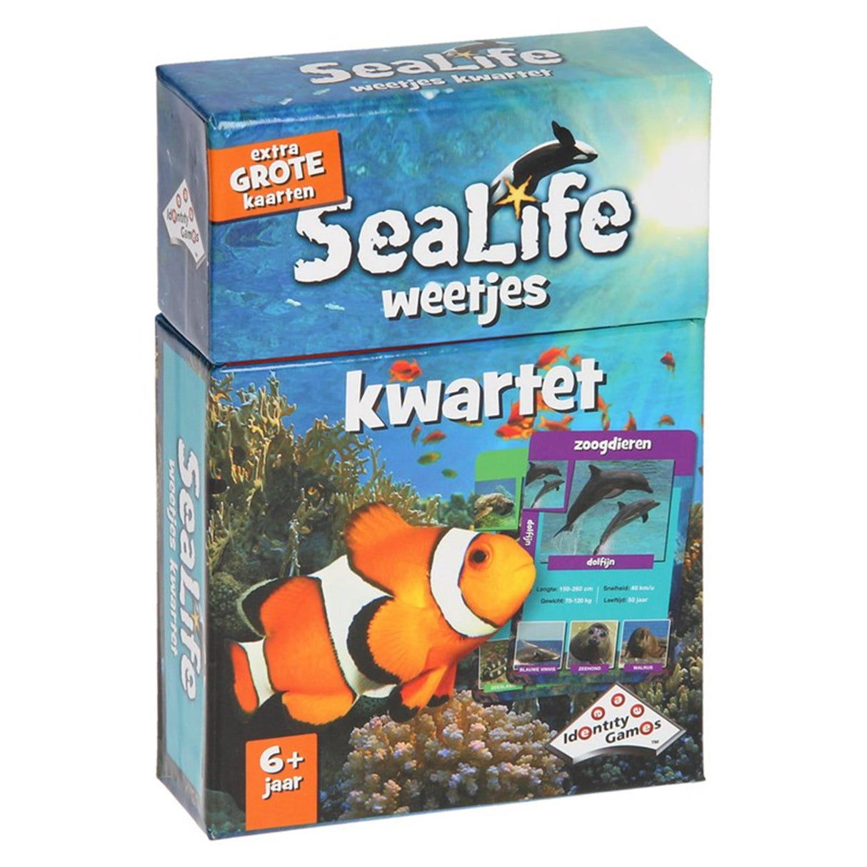 Boosterbox Sealife Facts Quartett – Kartenspiel