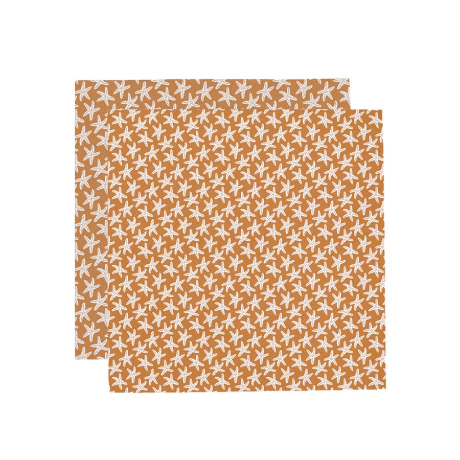 Seastar | Orange hydrophilic cloths 110 x 110 cm - 2 pieces