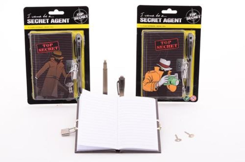 Tajny dziennik z sekretarzem pióra