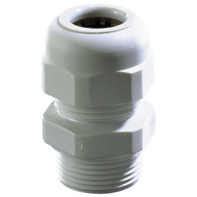 Wiska sprintwartel pg11