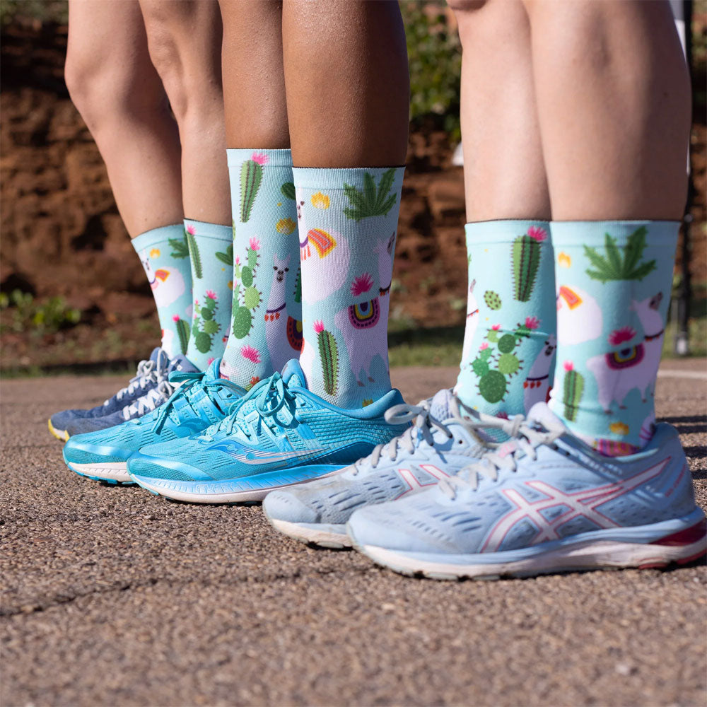 Sox avalynė gyvūnai – kojinės