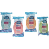 Calypso sponge assorted