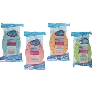 Calypso sponge assorted