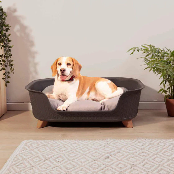 Starplast dog bed with elevation 78.5 x 58.5 x 25 cm black