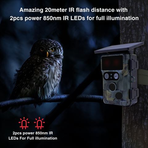 Stealth Gang Nightjar Dual-Cam Oider 4k WiFi Wild Kamera