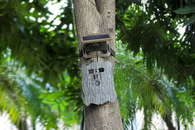 Stealth Gear Owl Solar 4K WiFi Wild camera