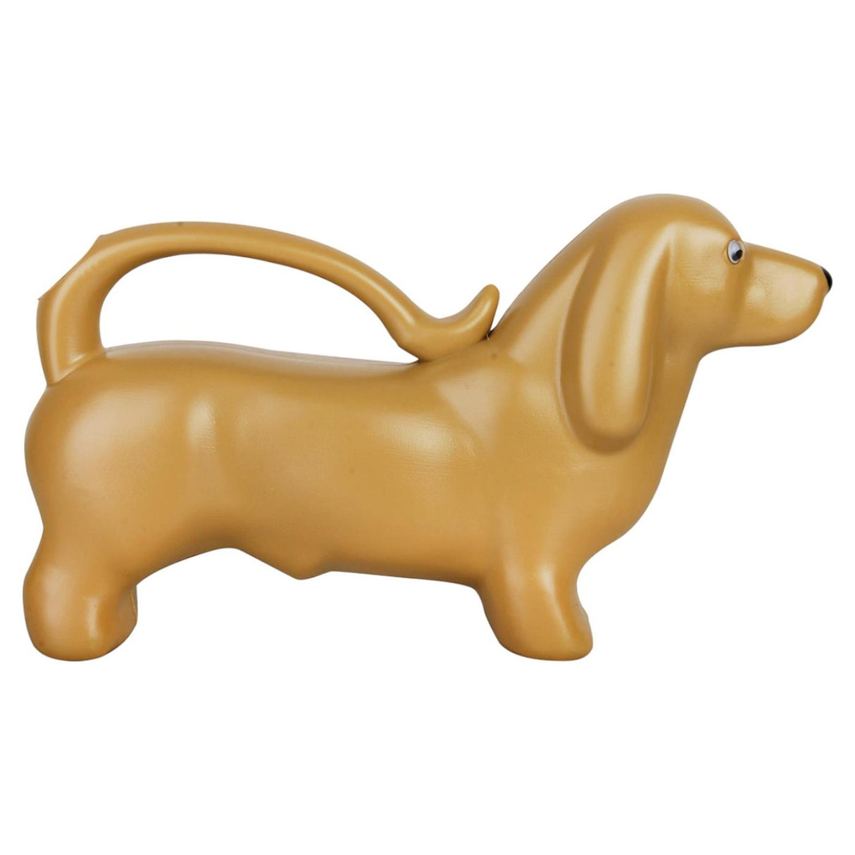 Waasserung kann dachshund