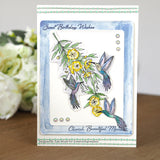 Creative expressions • sweet nectar a6 clear stamp
