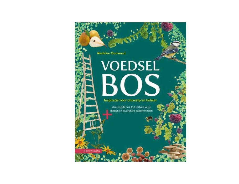 BOKHHINS BOOK COMME BORE