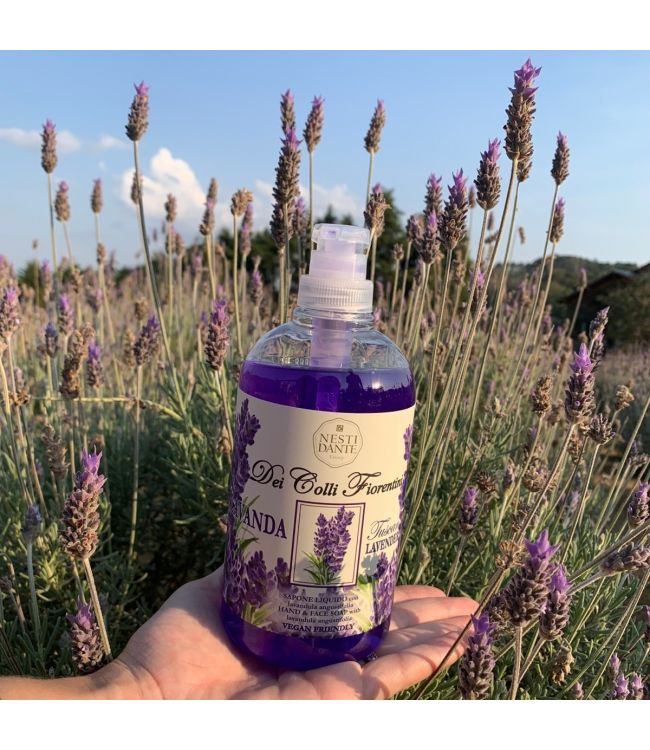 Nesti Dante Fiorentini Lavanda Soap Pump 500ml