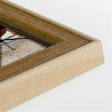 ZEP Photo frame pl923a Nuoro A 20x30 cm