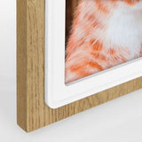 ZEP Photo frame ZX246 Duchessa 10x15 cm