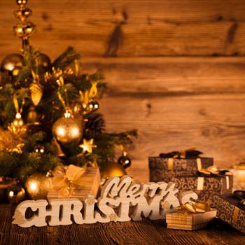 ZEP Christmas Kevin VP87EN and 42x2.5 H9.5 cm