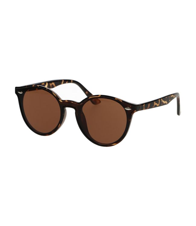 Lunettes de soleil Spectrum autour des dames brunes tortue
