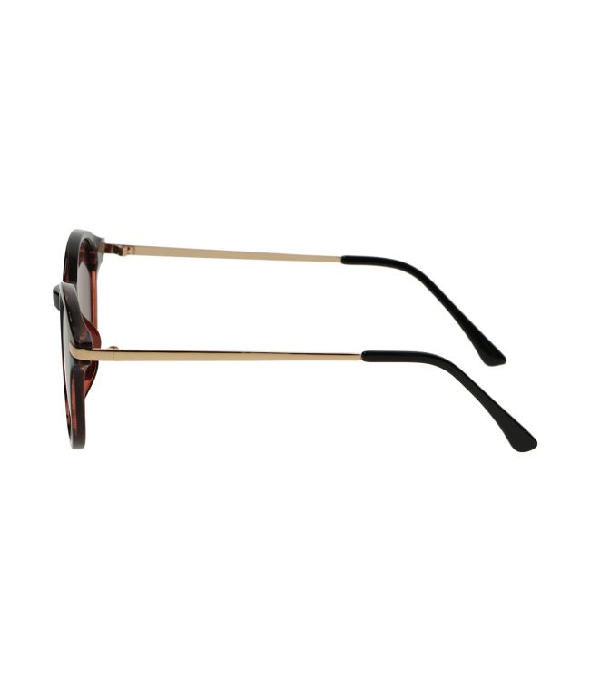 Spectrum sunglasses around half tortoise black ladies
