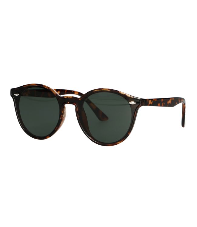 Lunettes de soleil Spectrum autour des dames brunes tortue