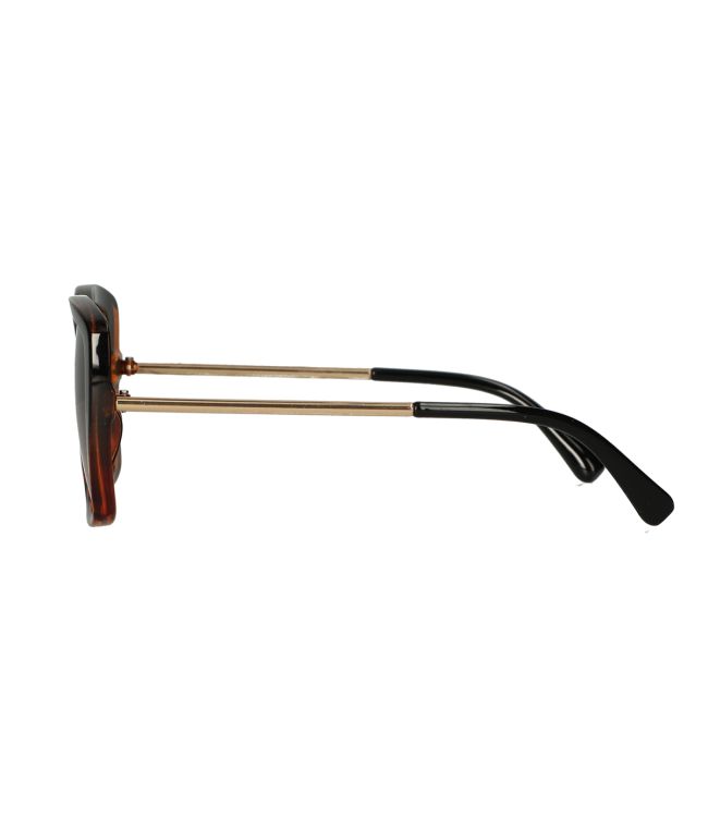 Spectrum Sunglasses Brown Ladies