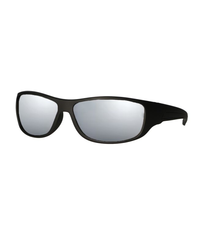 Lunettes de soleil spectrum mat en argent noir