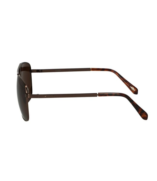 Spectrum sunglasses pilot brown men