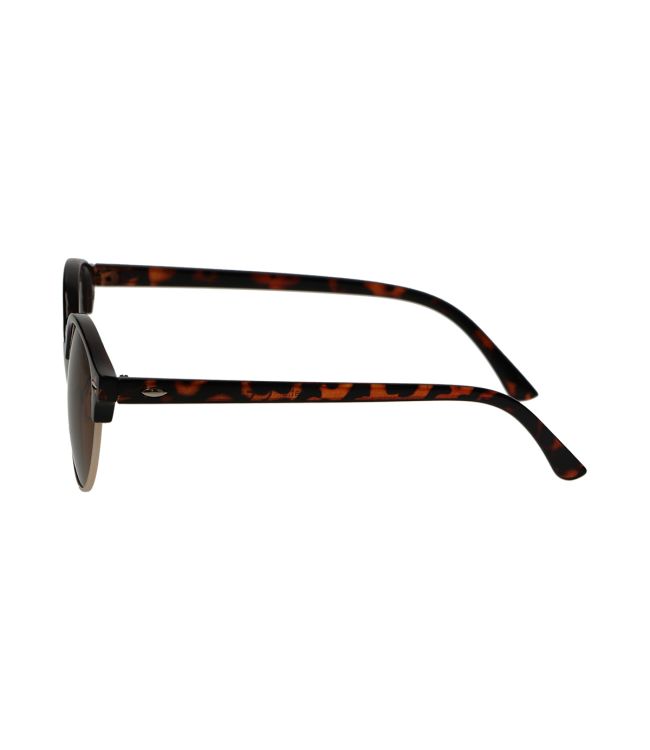 Spectrum Sunglasses Club around Havana Gold Brown Unisex