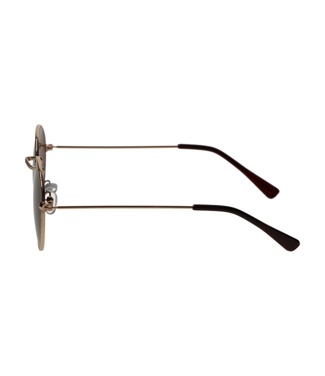 Spectrum sunglasses flat oval gold metal brown unisex