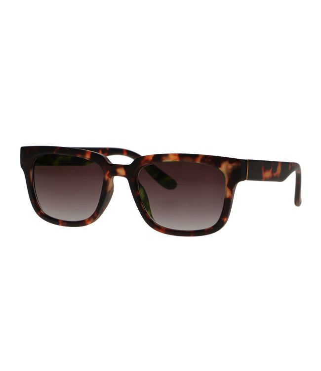 Lunettes de soleil Spectrum Tortoise Brown Glass Unisexe
