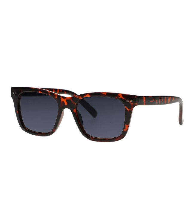 Spectrum Sunglasses Tortoise Smoke Glass Unisex