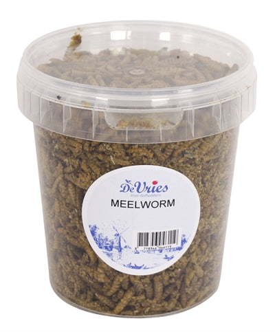 De vries meelworm sort soldat flyve