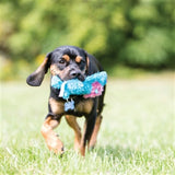 Kong cozie Brights asort