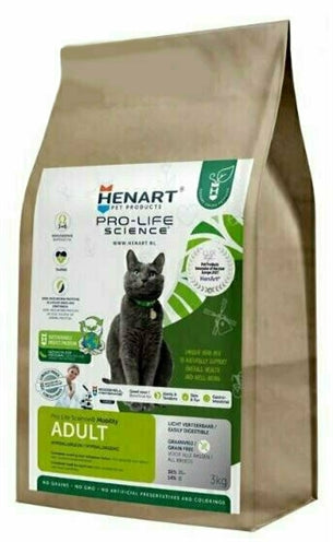 Henart hmyz kočky dospělý s ním
