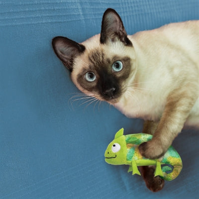 Kong Kameleon with catnip refillable
