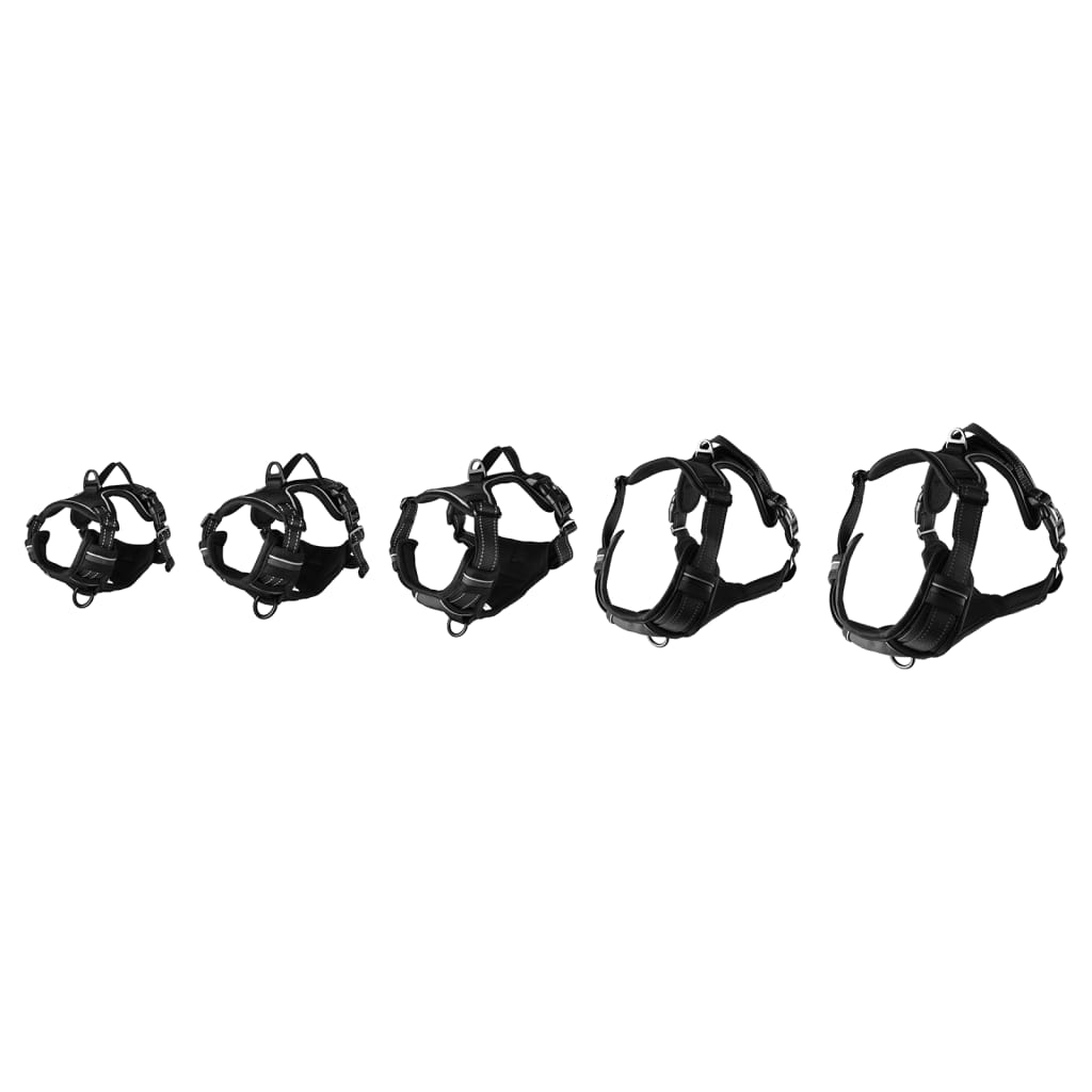 Flamingo Flamingo Pies Wiązka Balou XS 30-45 cm 15 mm Czarna