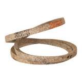 Tarsus belt for mini dumper