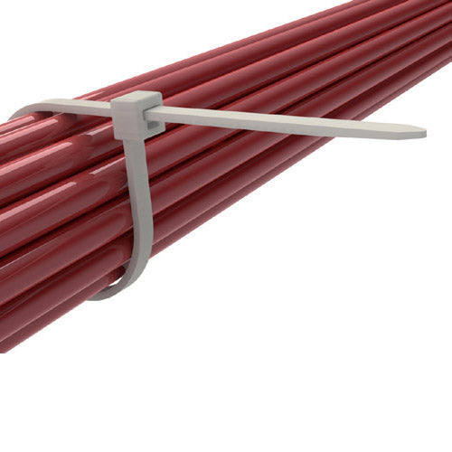 Ties cavi 20,3 cm x 2,5 mm d'argento (100 °)