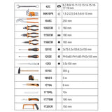 Beta tool case incl. 100-piece assortment