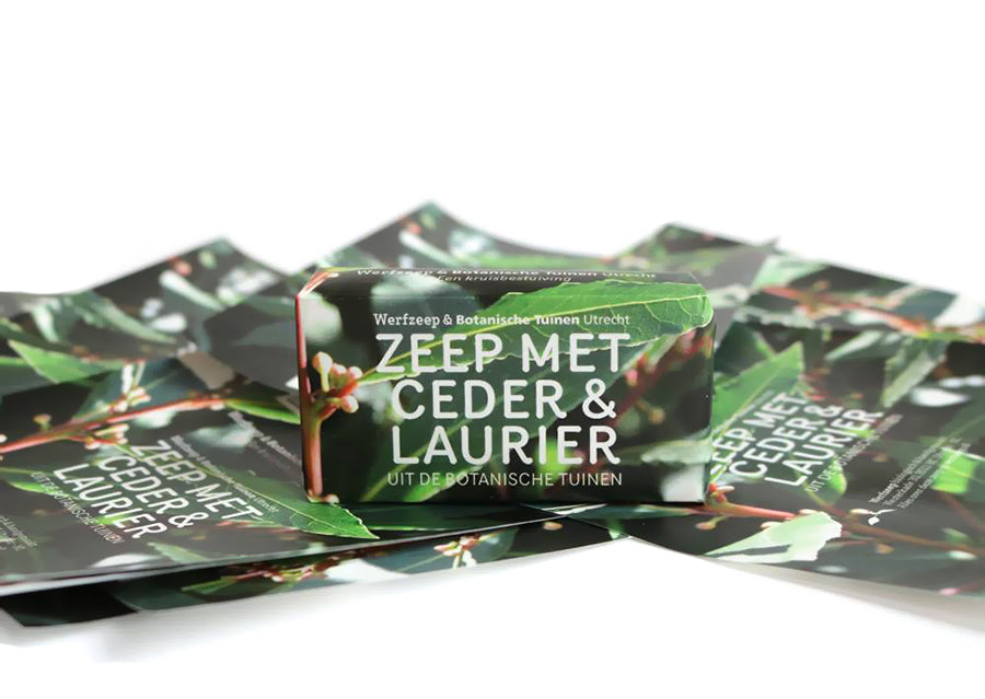 Werfzee Werf soap botanical gardens cedar laurel