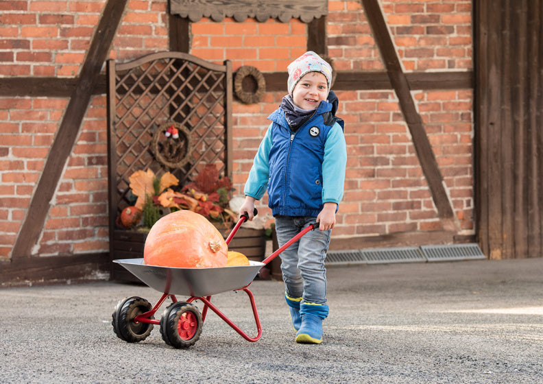Rolly Toys Steel Wheelbarrow Junior Silver Red